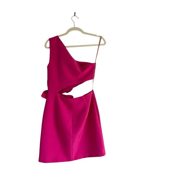 PatBo Flower Appliqué dress Cut-Out Pink Size 6 chic Feminine luxury Designer - Picture 8 of 16